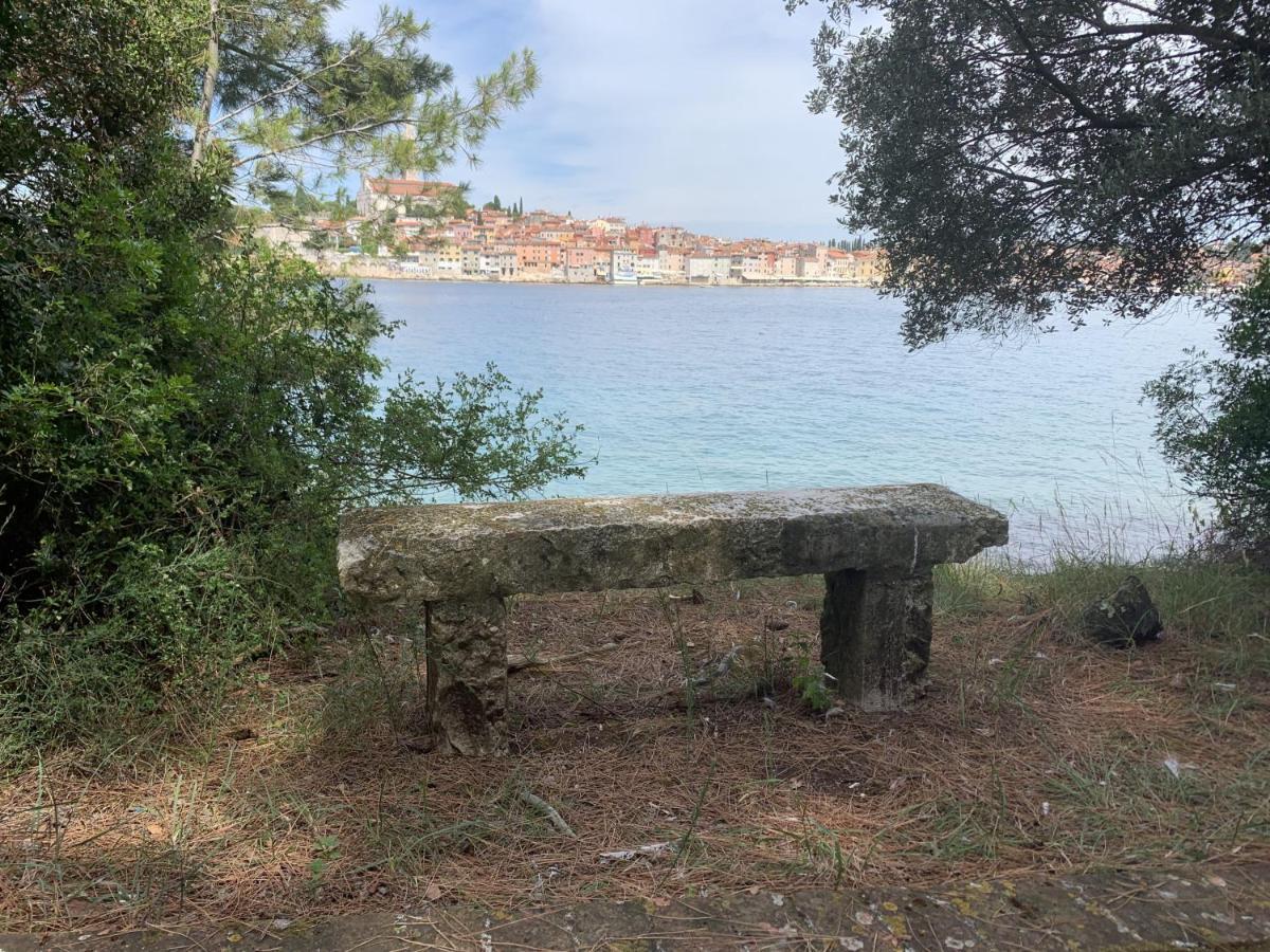 "Art House" Rovinj-Holiday, Holiday Home To Rent Rovinjsko Selo Dış mekan fotoğraf